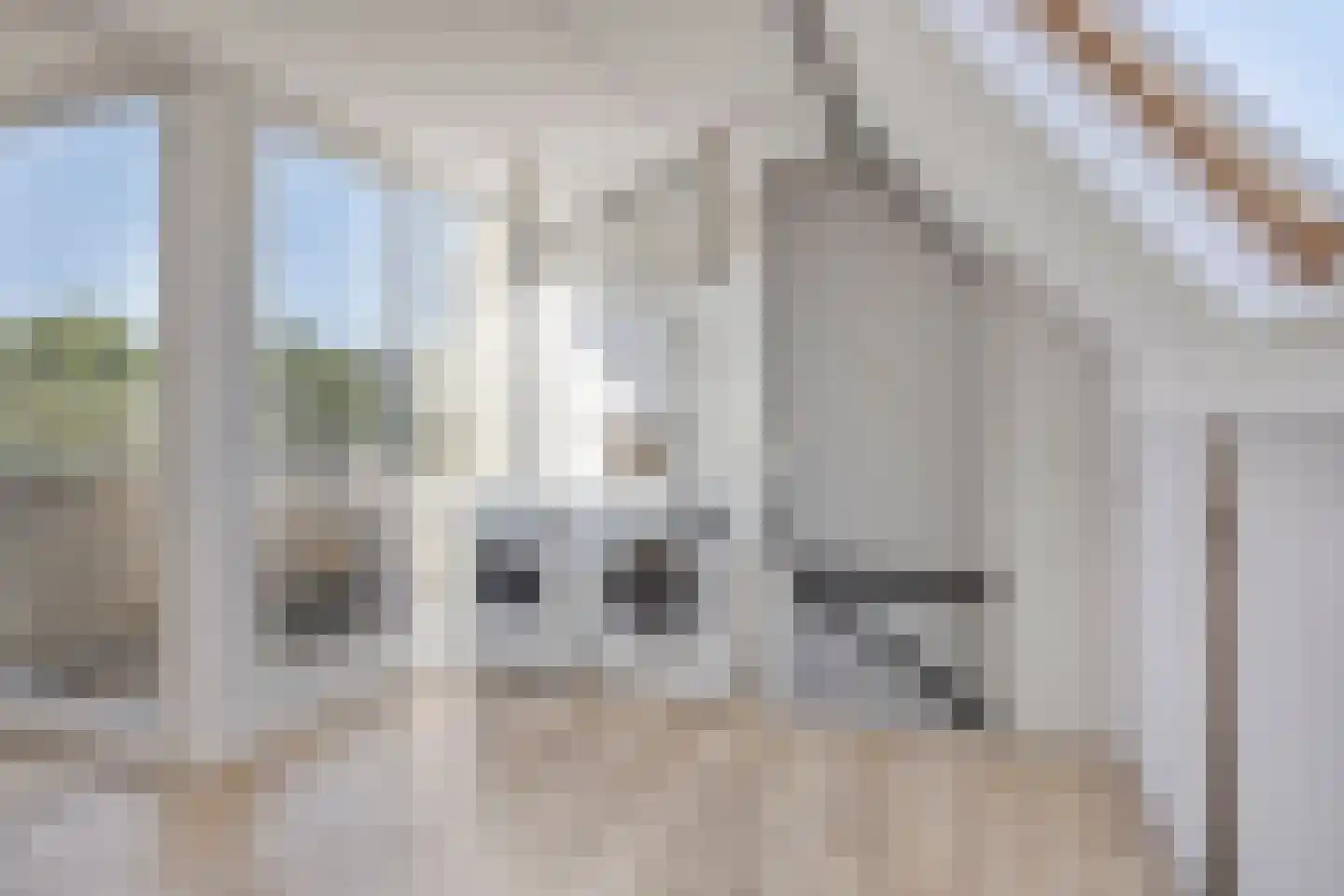 Wanyng 3 a Goor thumbnail 26