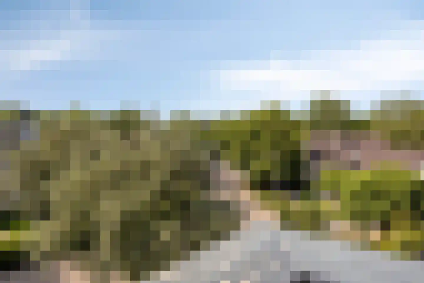 Wanyng 3 a Goor thumbnail 29