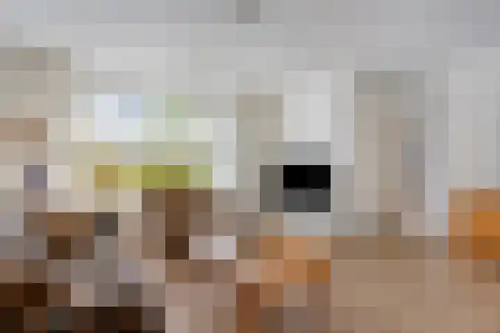 Wanyng 7 Goor thumbnail 11