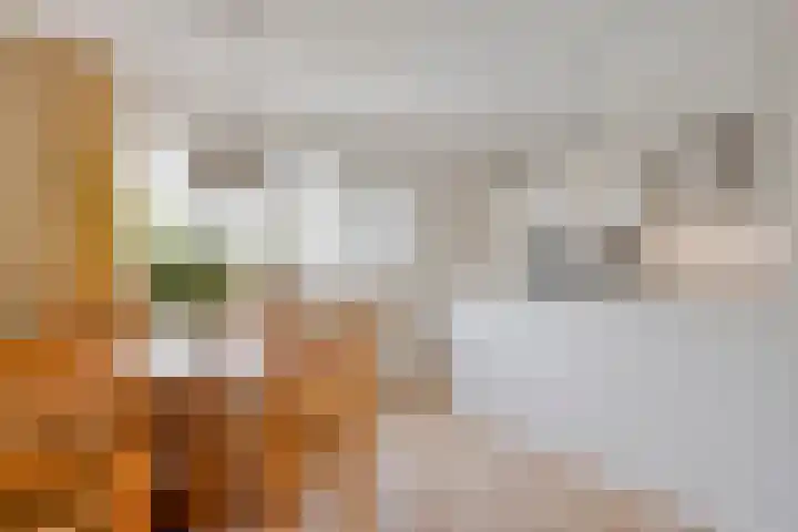 Wanyng 7 Goor thumbnail 14