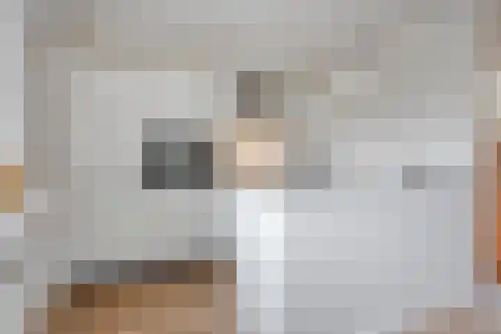 Wanyng 7 Goor thumbnail 15
