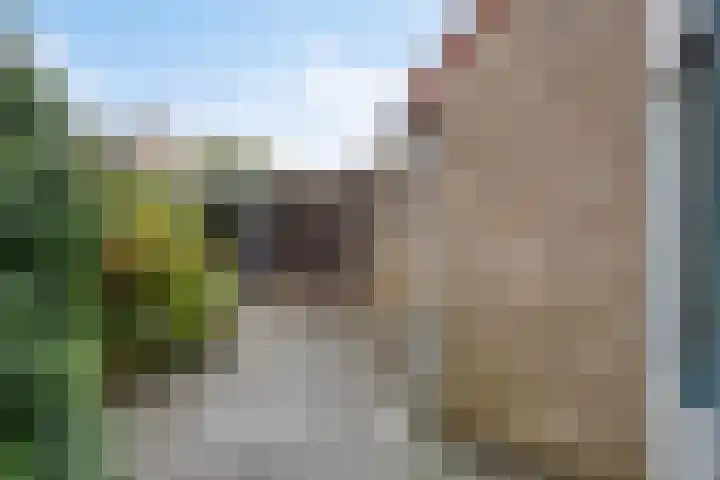 Wanyng 7 Goor thumbnail 28