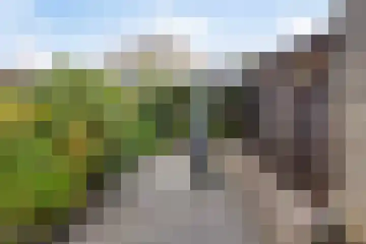 Wanyng 7 Goor thumbnail 29