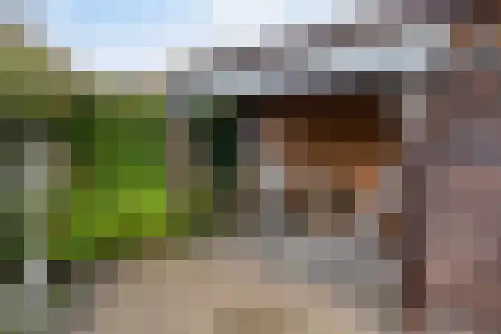 Wanyng 7 Goor thumbnail 30