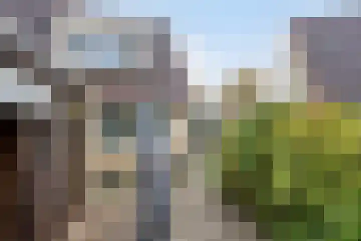 Wanyng 7 Goor thumbnail 31