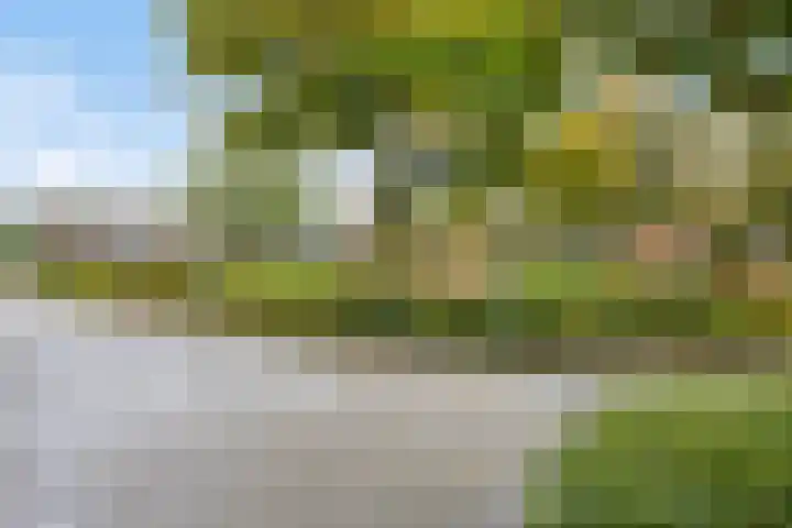 Wanyng 7 Goor thumbnail 34