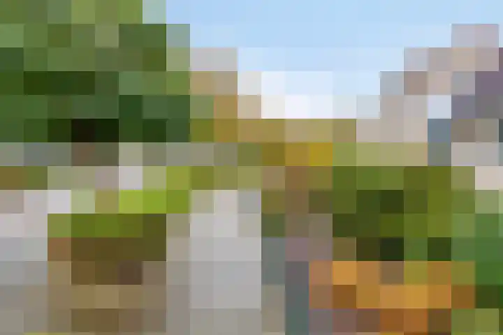 Wanyng 7 Goor thumbnail 4