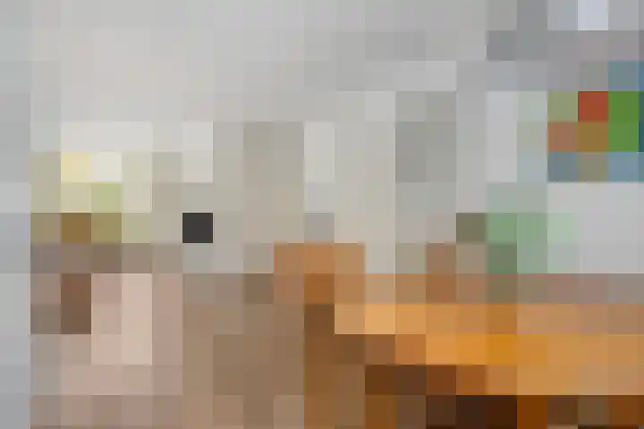Wanyng 7 Goor thumbnail 9