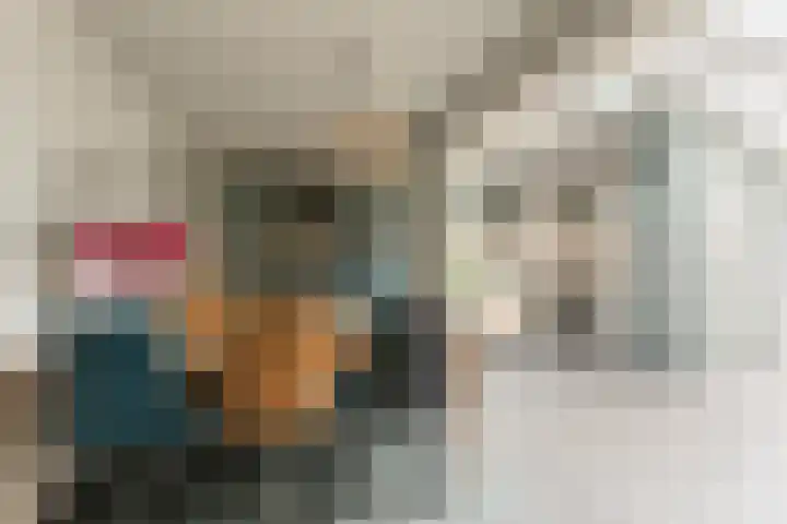 Wapendrager 13 Meppel thumbnail 10