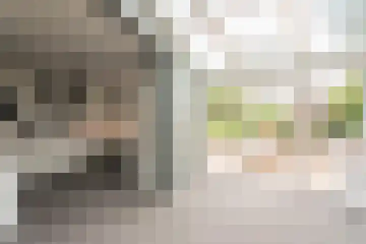 Wapendrager 13 Meppel thumbnail 14