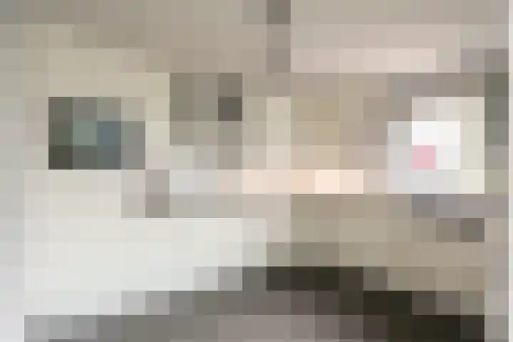 Wapendrager 13 Meppel thumbnail 15