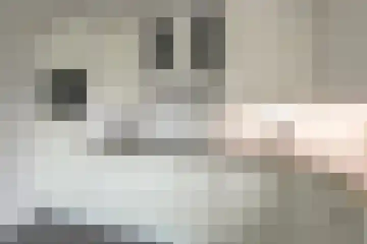 Wapendrager 13 Meppel thumbnail 17