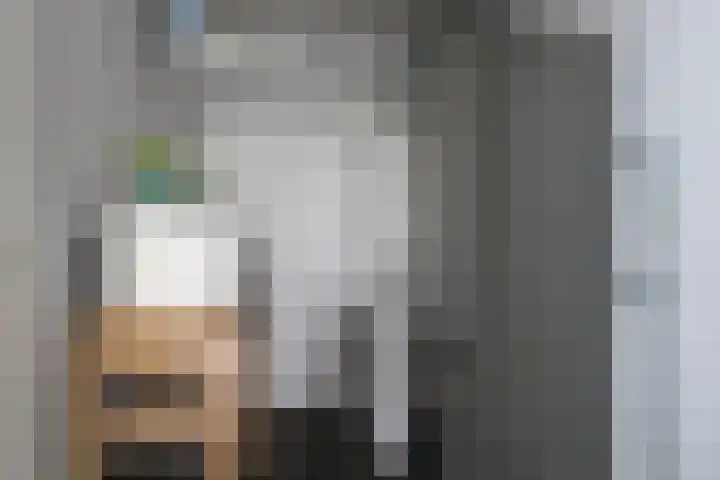 Wapendrager 13 Meppel thumbnail 18
