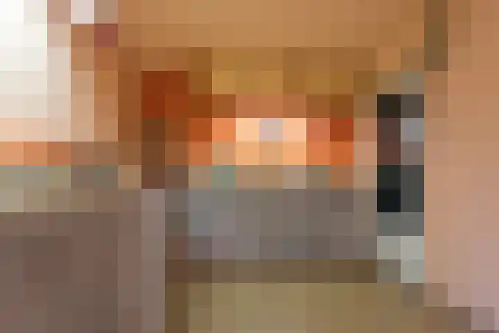 Wapendrager 13 Meppel thumbnail 19