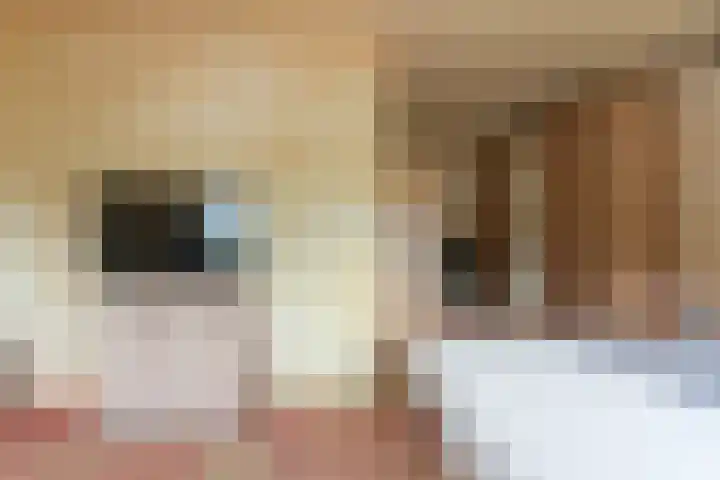 Wapendrager 13 Meppel thumbnail 23