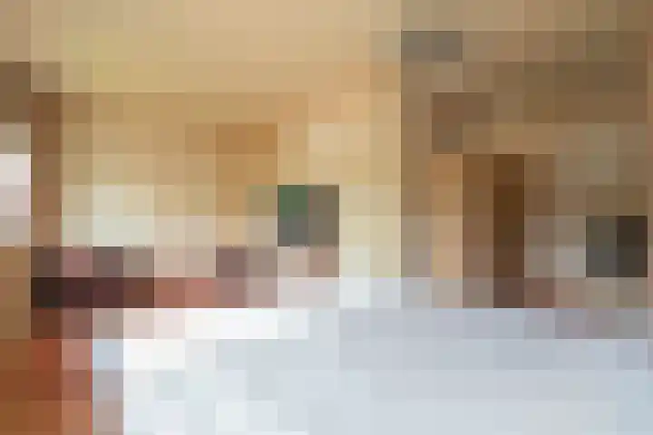 Wapendrager 13 Meppel thumbnail 24