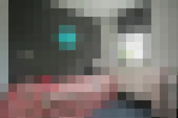 Wapendrager 13 Meppel thumbnail 27