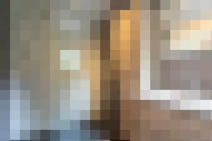 Wapendrager 13 Meppel thumbnail 32