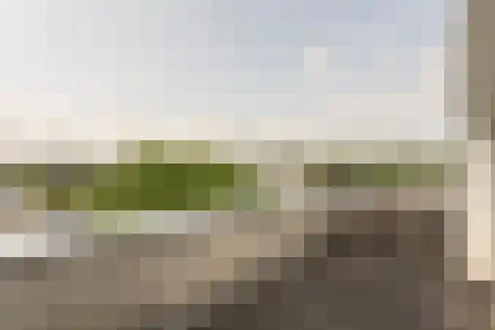 Wapendrager 13 Meppel thumbnail 36