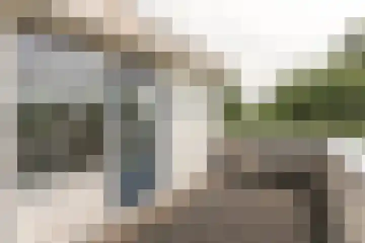 Wapendrager 13 Meppel thumbnail 37