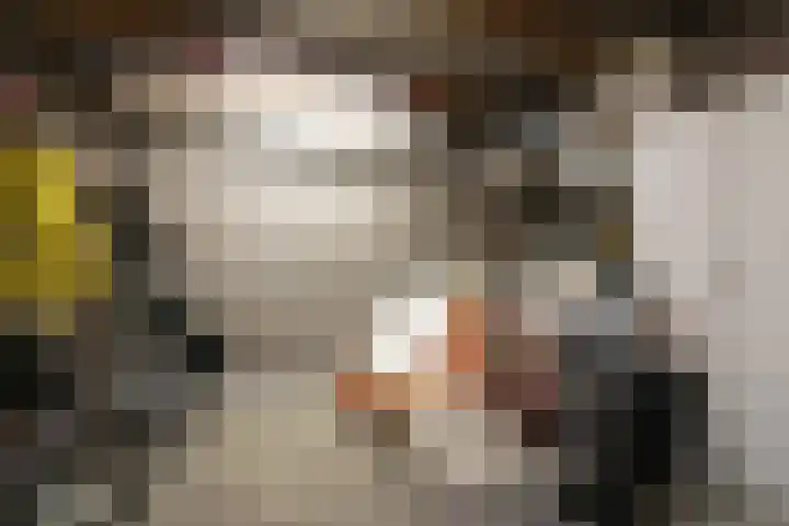 Wapendrager 13 Meppel thumbnail 38