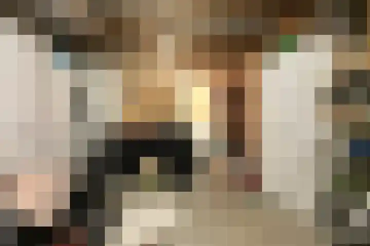 Wapendrager 13 Meppel thumbnail 39