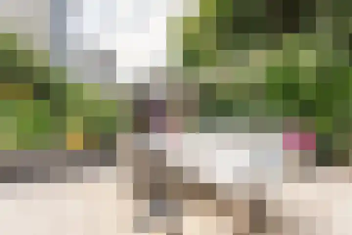 Wapendrager 13 Meppel thumbnail 41