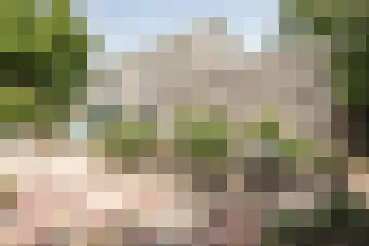 Wapendrager 13 Meppel thumbnail 44