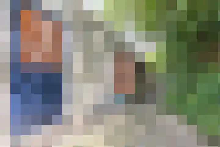 Wapendrager 13 Meppel thumbnail 47