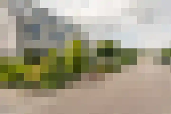 Wapendrager 13 Meppel thumbnail 48