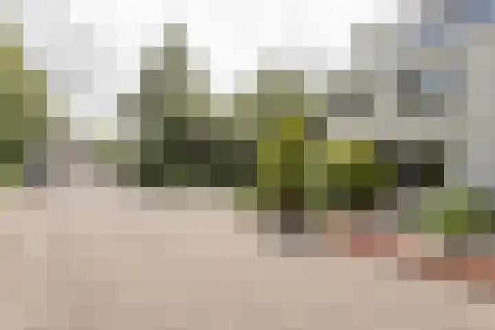 Wapendrager 13 Meppel thumbnail 49
