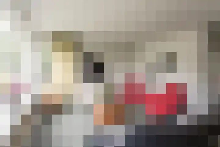Wapendrager 13 Meppel thumbnail 5