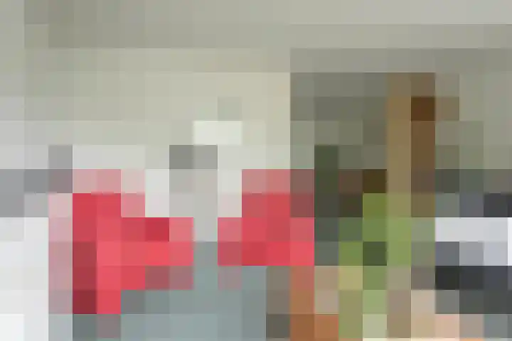 Wapendrager 13 Meppel thumbnail 6