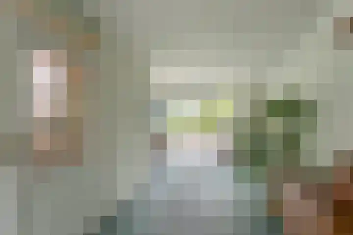 Wapendrager 13 Meppel thumbnail 9