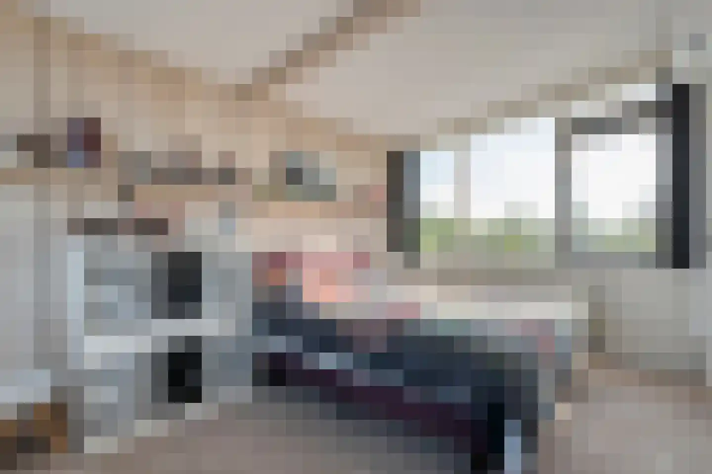Wapendrager 17 Meppel thumbnail 28