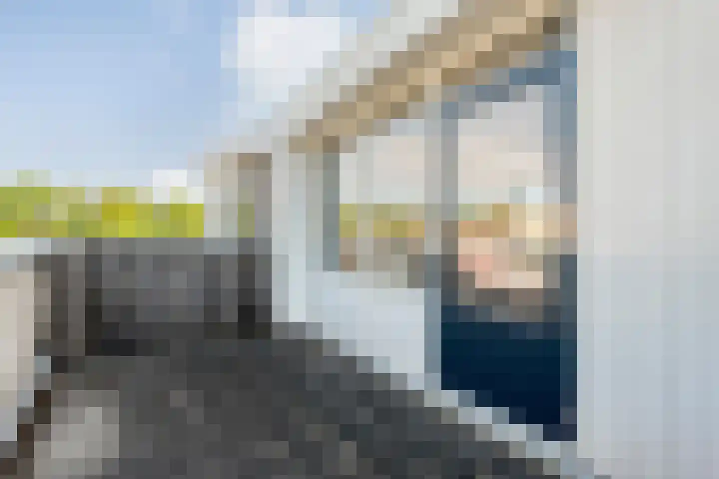 Wapendrager 17 Meppel thumbnail 30