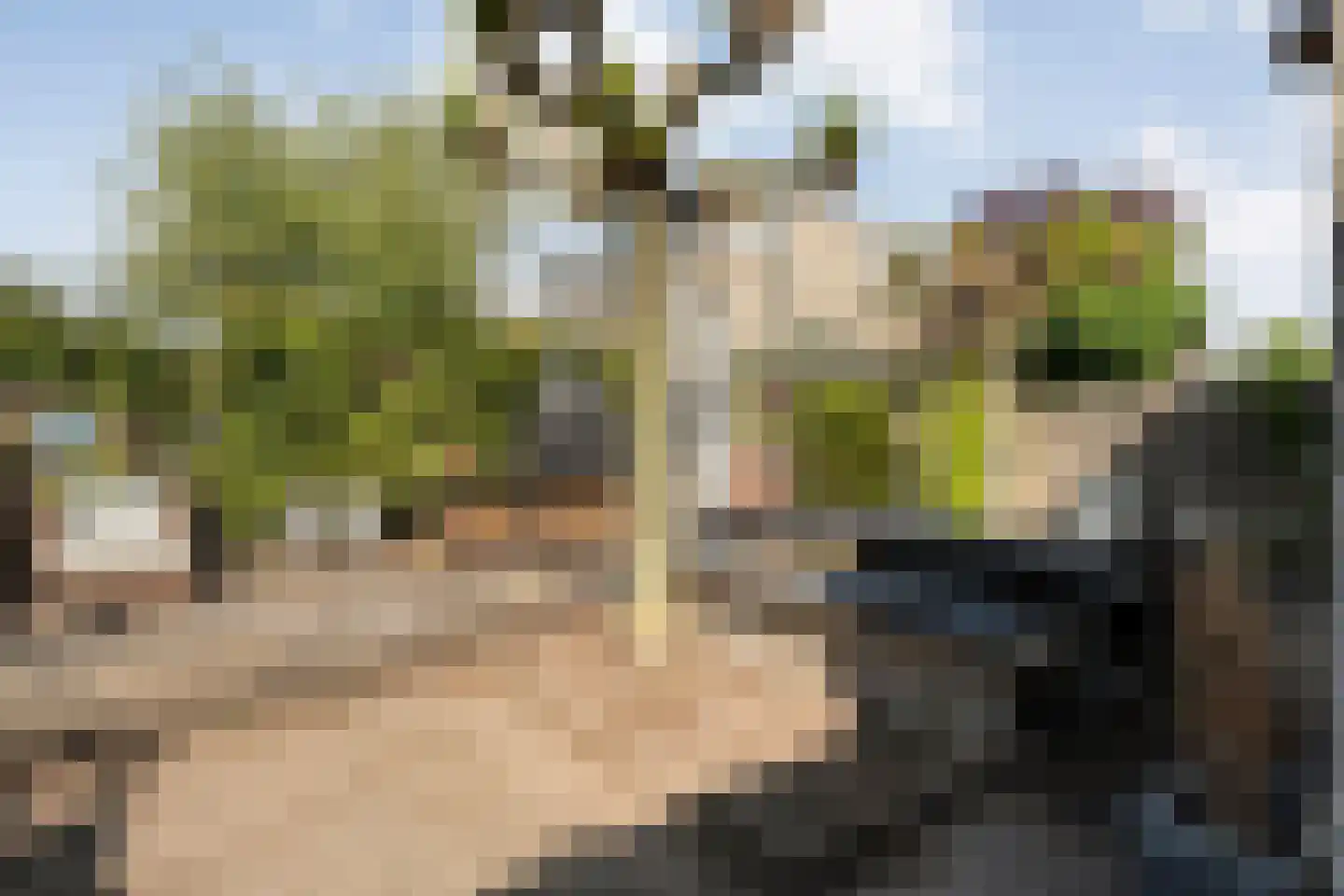 Wapendrager 17 Meppel thumbnail 36