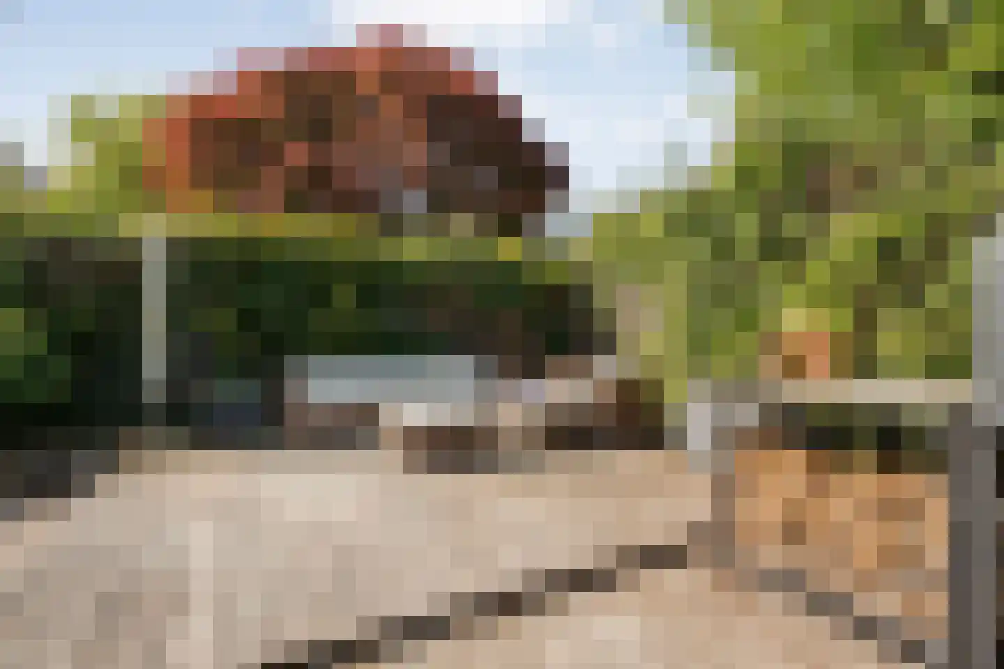 Wapendrager 17 Meppel thumbnail 38