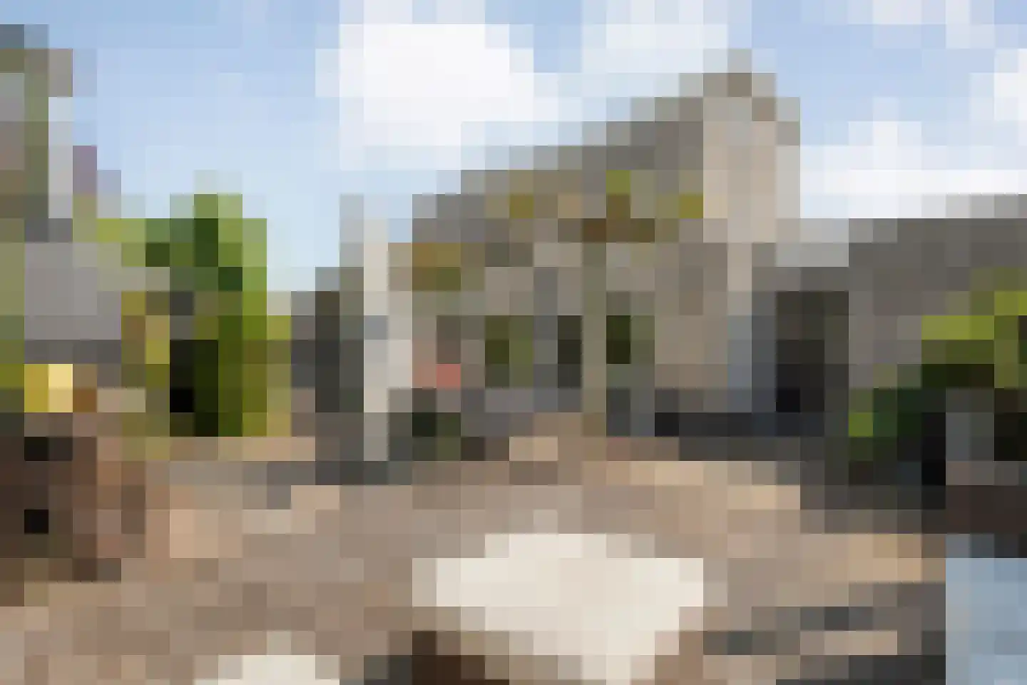 Wapendrager 17 Meppel thumbnail 39