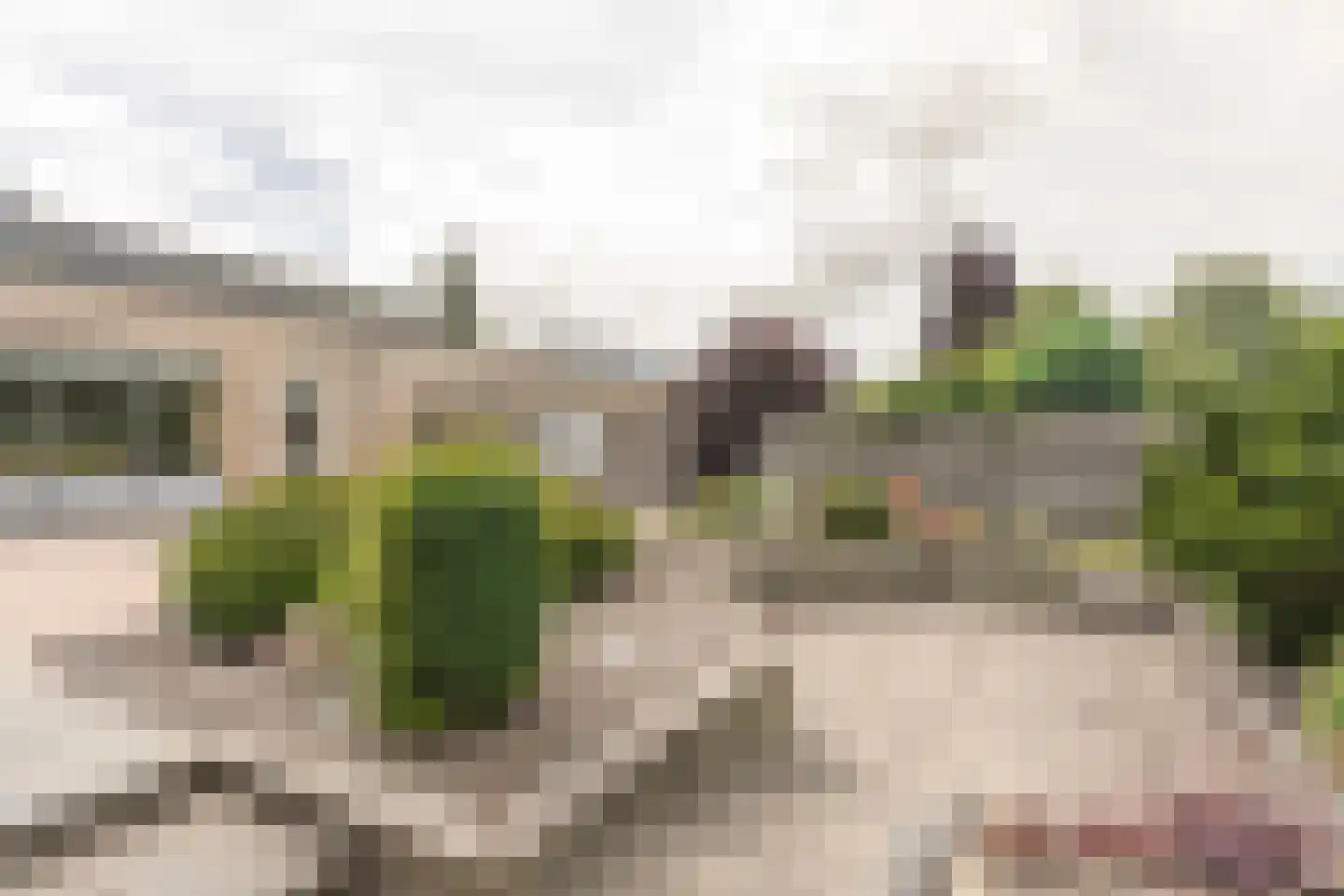 Wapendrager 42 Meppel thumbnail 30