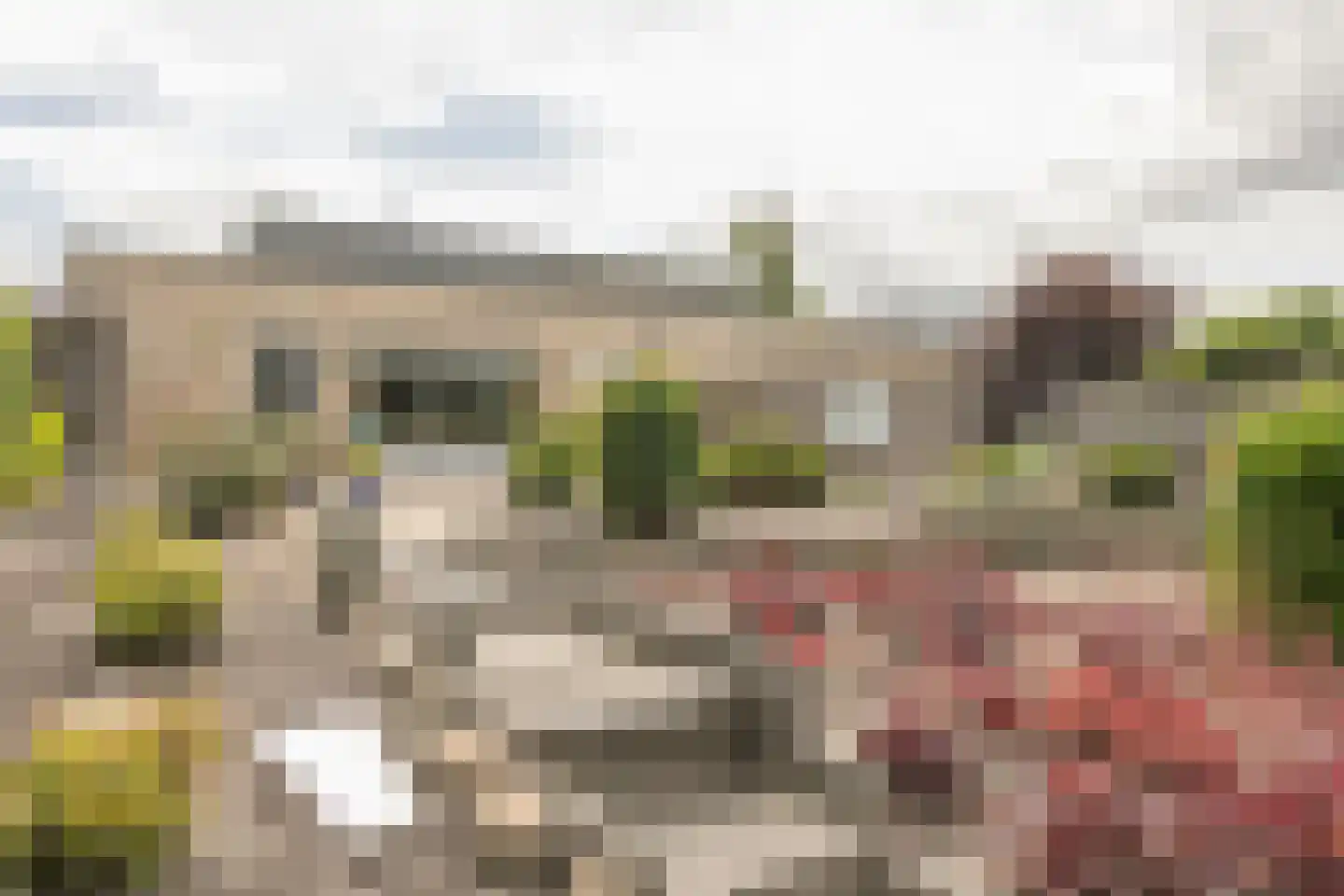 Wapendrager 42 Meppel thumbnail 31