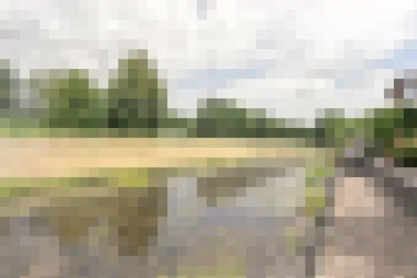 Wapendrager 42 Meppel thumbnail 33