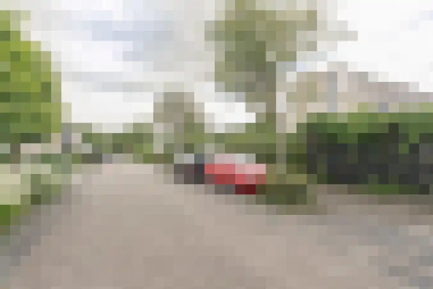 Wapendrager 42 Meppel thumbnail 37