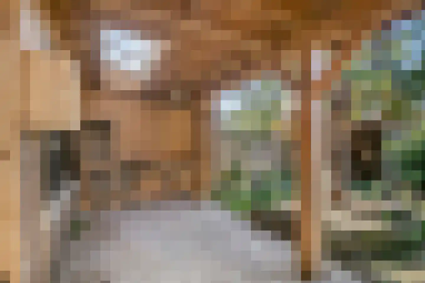 Wapendragerstraat 27 Eindhoven thumbnail 29