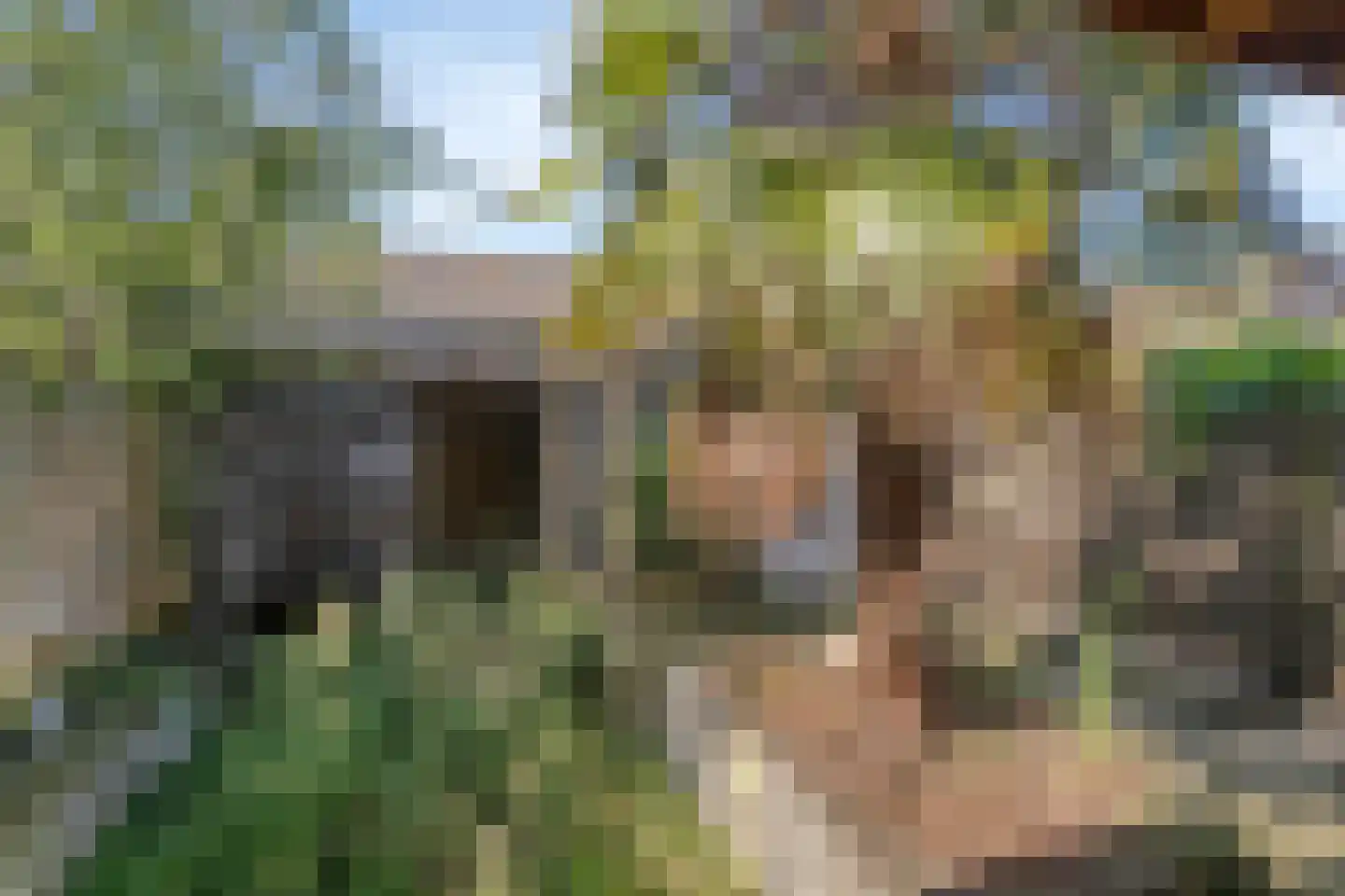 Wapendragerstraat 27 Eindhoven thumbnail 30