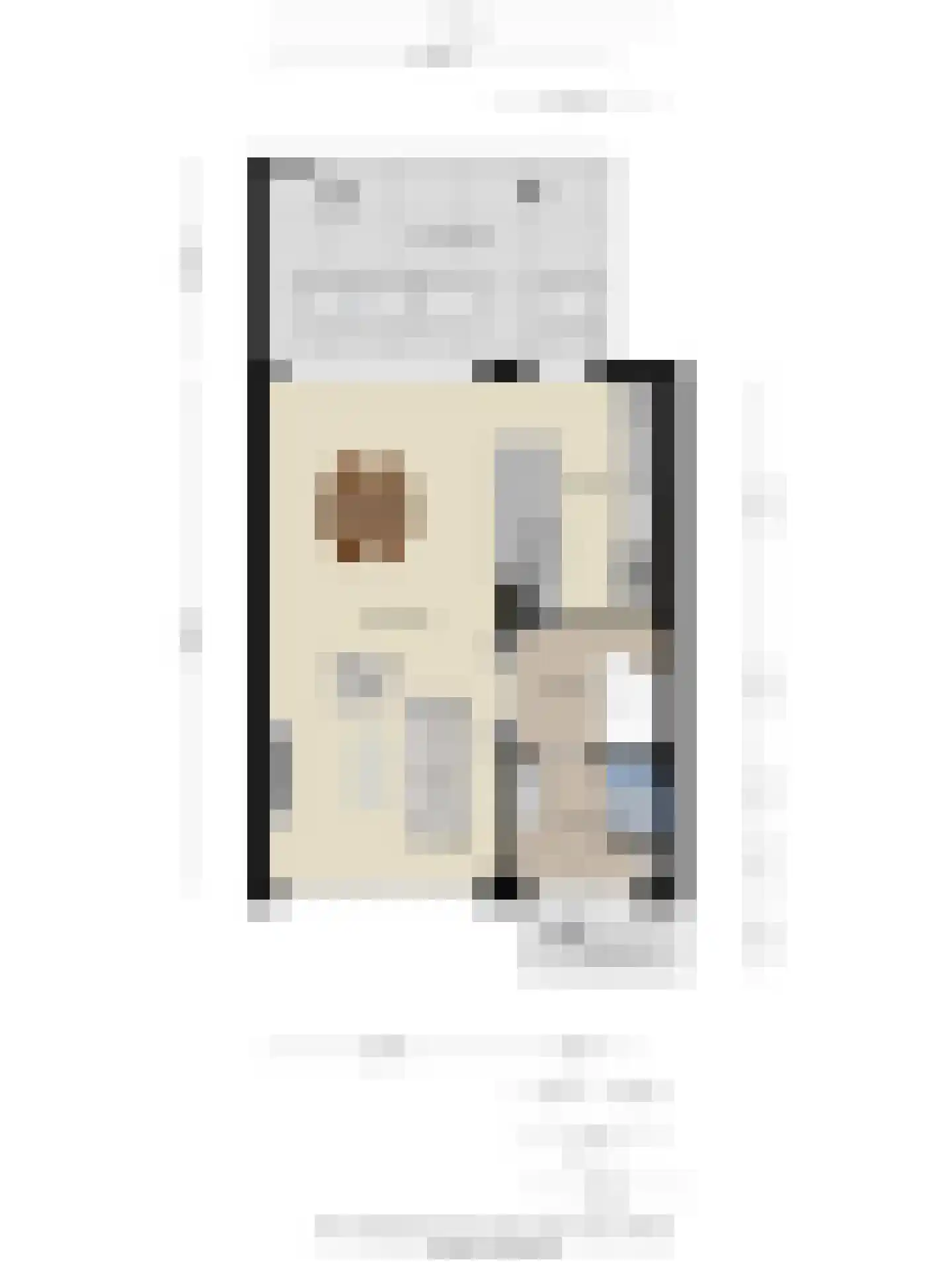 Wapendragerstraat 27 Eindhoven thumbnail 39