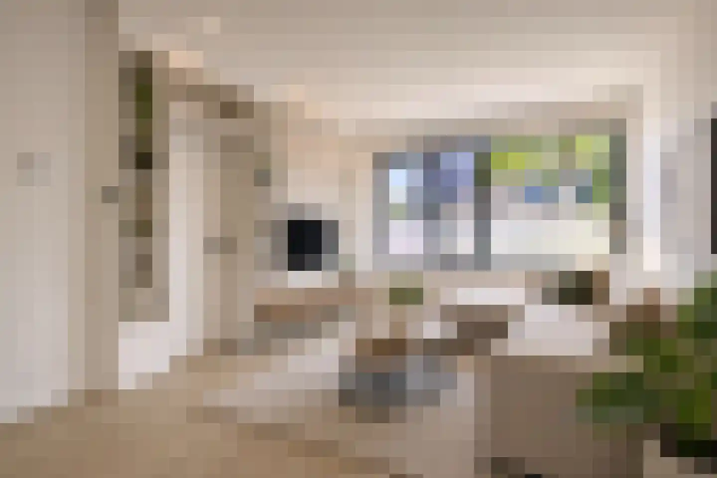 Wapendragerstraat 27 Eindhoven thumbnail 4
