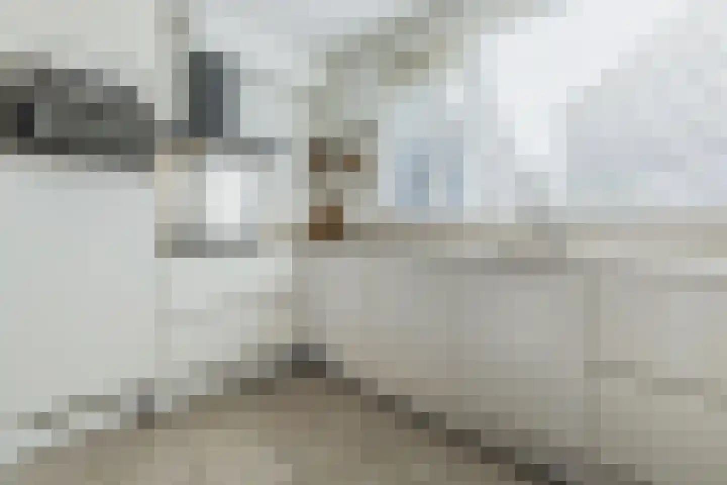 Wapendragerstraat 50 Eindhoven thumbnail 15