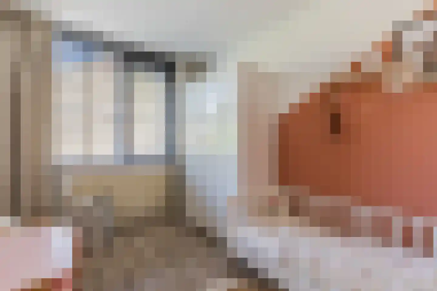 Wapendragerstraat 50 Eindhoven thumbnail 22