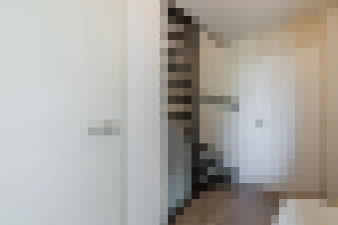 Wapendragerstraat 50 Eindhoven thumbnail 30